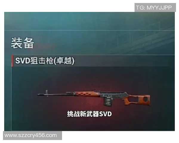 深度对话吴丽探索和平精英背后的成长与挑战人生之路